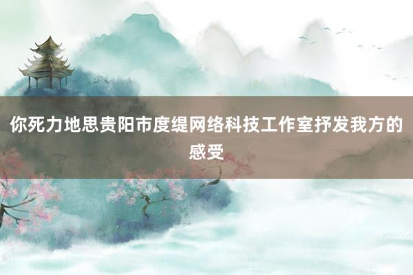 你死力地思贵阳市度缇网络科技工作室抒发我方的感受